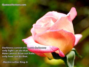 martin_luther_king_jr_quotes Quotes 6